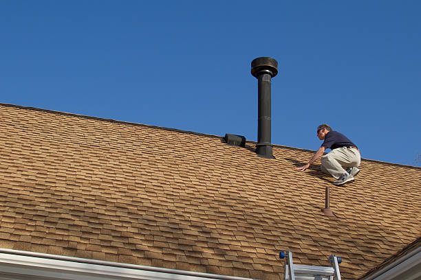 Best Roof Moss and Algae Removal  in Chambersburg, PA